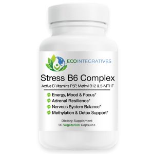 Stress B6 Complex – Active B Vitamins + Inositol + PABA